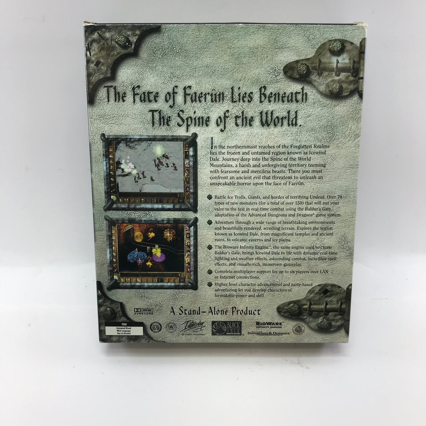 Icewind Dale (PC, 2000) w/ Original Big Box and Manual, No Map