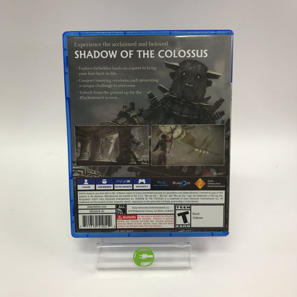Shadow of the Colossus (Sony PlayStation 4 PS4, 2018) No Scratches, Minty Disc