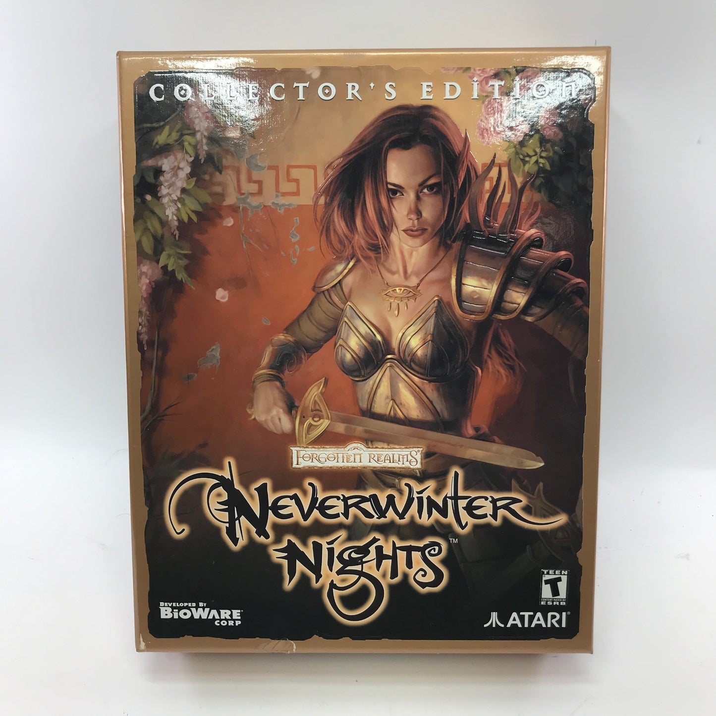 Neverwinter Nights Collector's Edition (PC, NaN) Complete In Box Most Sealed