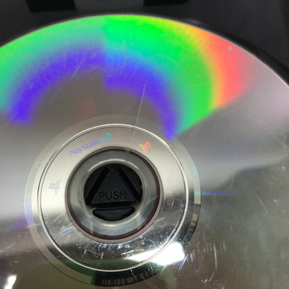 Dragon Ball Z Budokai (Sony PlayStation 2 PS2, 2002) w/ Manual and Poster