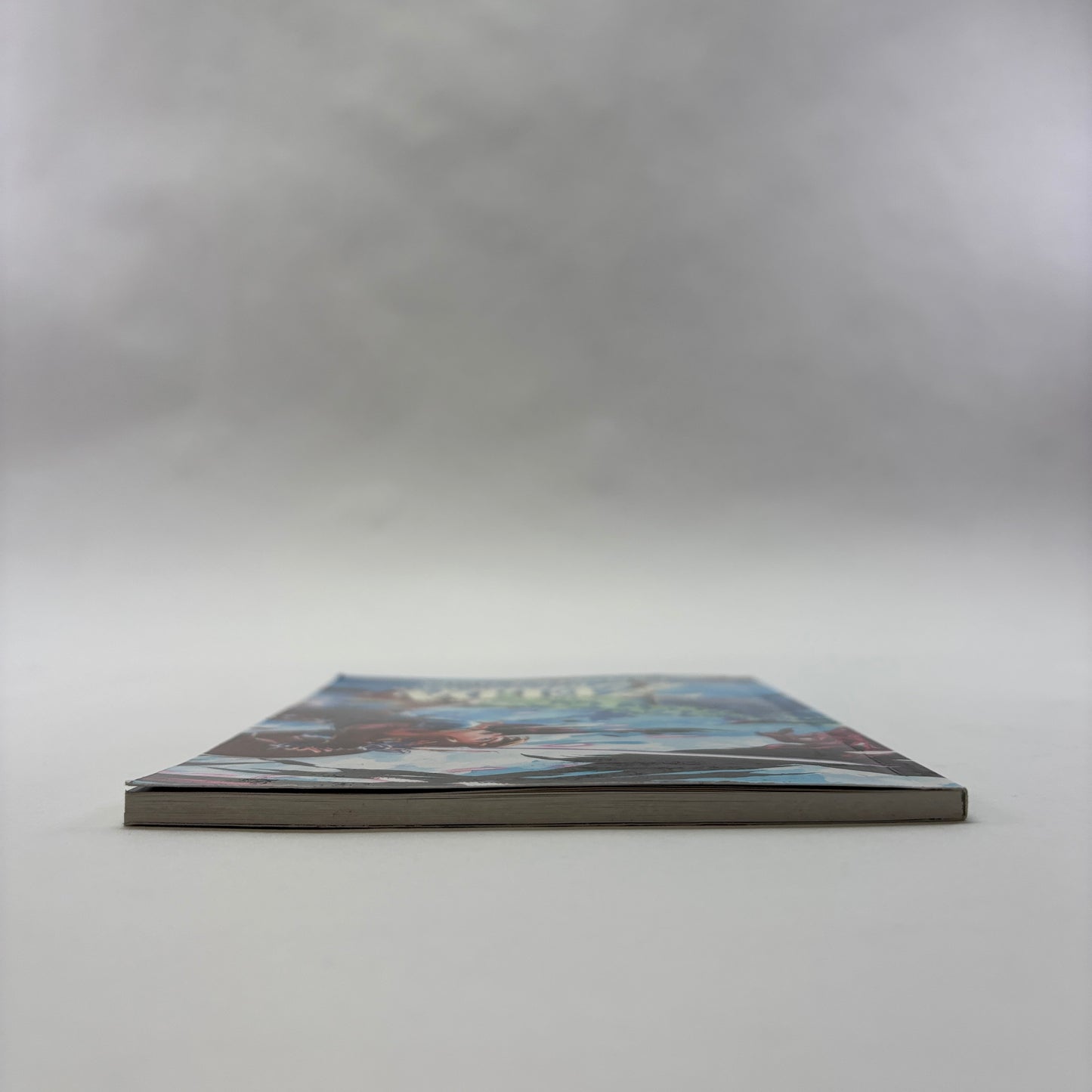 Zelda Breath of the Wild (Nintendo Switch, 2017)