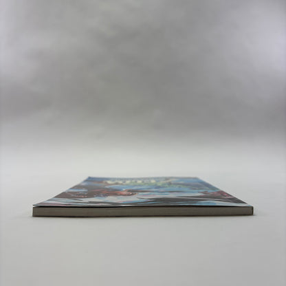 Zelda Breath of the Wild (Nintendo Switch, 2017)