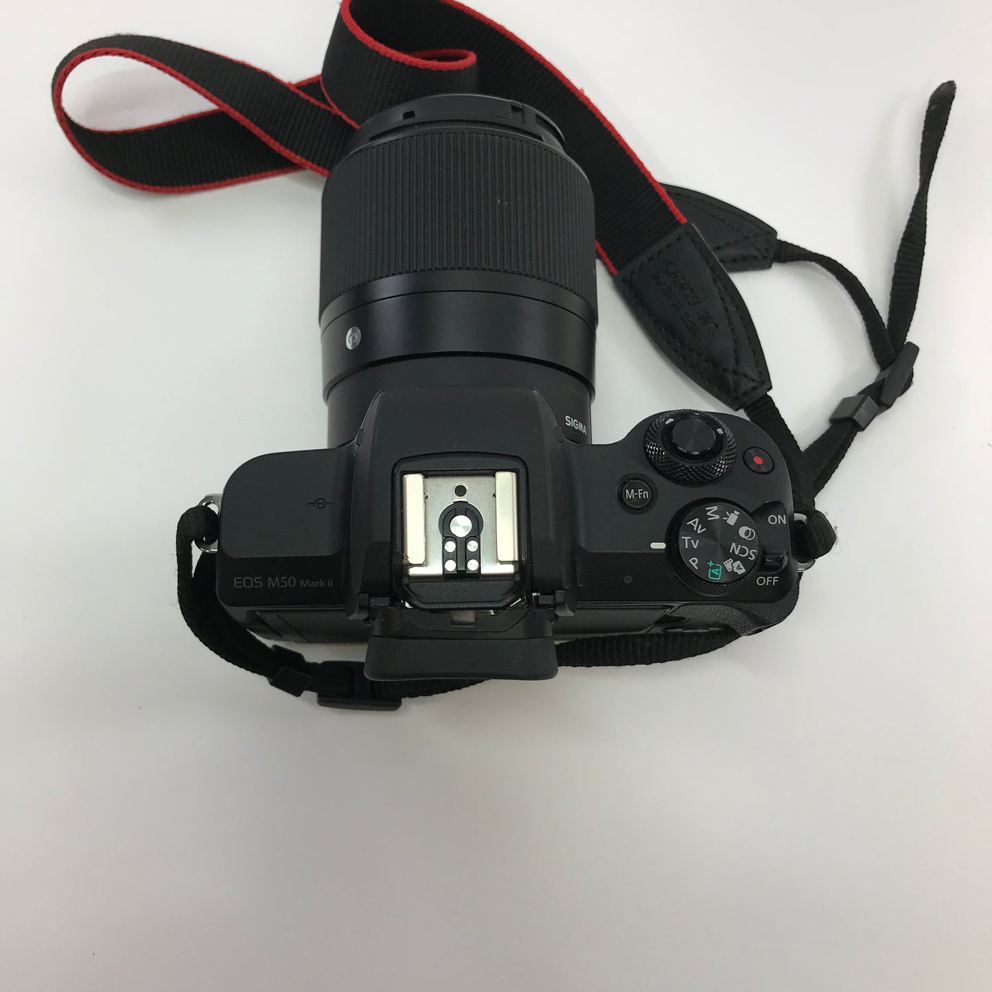 Canon Eos Ds126843 24.1MP Digital Point-And-Shoot Camera w Neck Strap