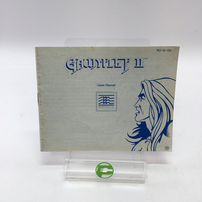 Gauntlet II (Nintendo NES, 1990) Tested Works