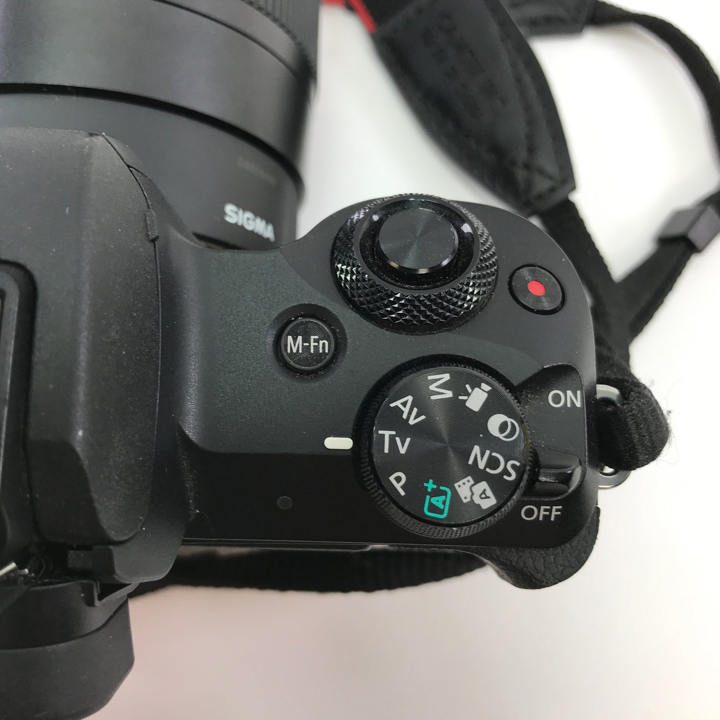 Canon Eos Ds126843 24.1MP Digital Point-And-Shoot Camera w Neck Strap