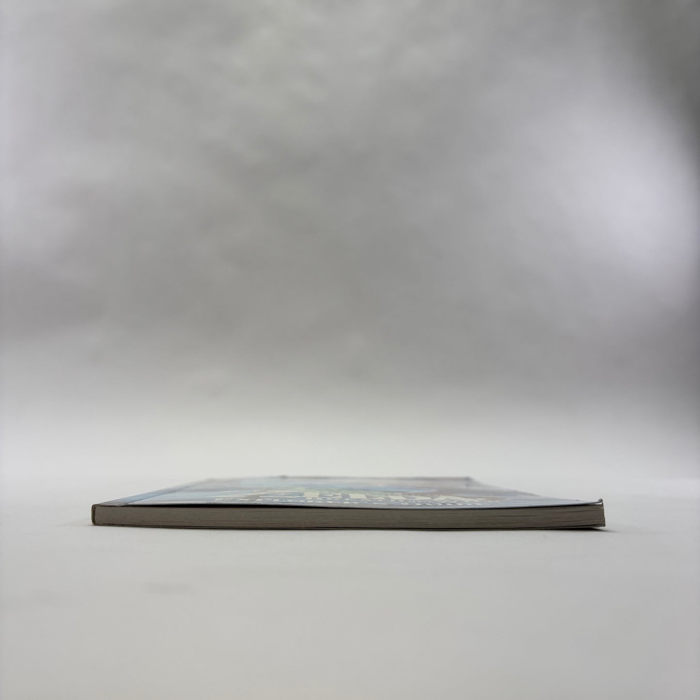 Zelda Breath of the Wild (Nintendo Switch, 2017)