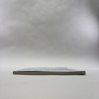 Zelda Breath of the Wild (Nintendo Switch, 2017)