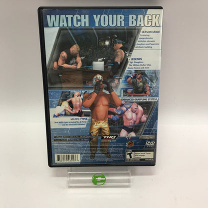 WWE Smackdown Here Comes the Pain (Sony PlayStation 2 PS2, 2003) CIB w Manual