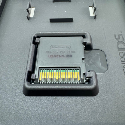 Nintendo DS Browser (Nintendo DS, 2007)