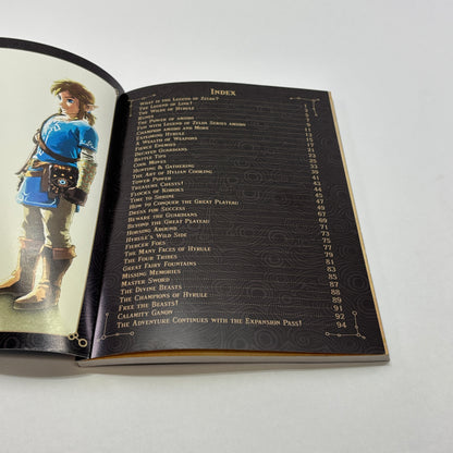 Zelda Breath of the Wild (Nintendo Switch, 2017)